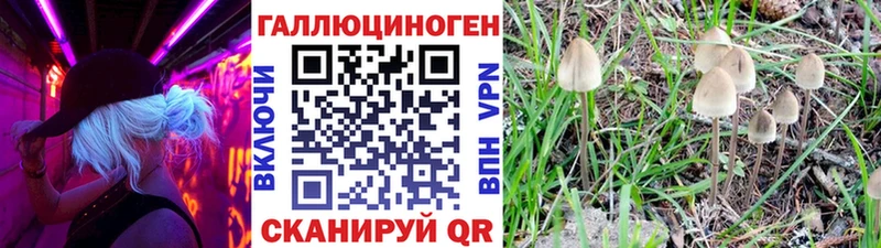 Галлюциногенные грибы Cubensis кракен зеркало Красноперекопск